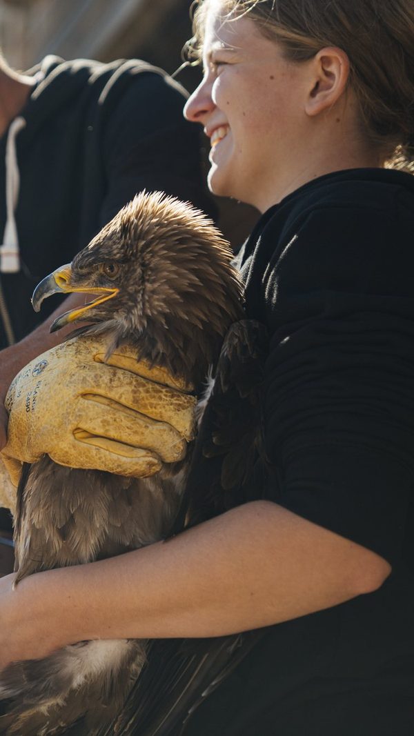 Élève soigneuse tenant un jeune aigle